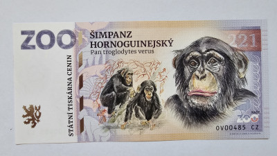 ZOOLARY 2025